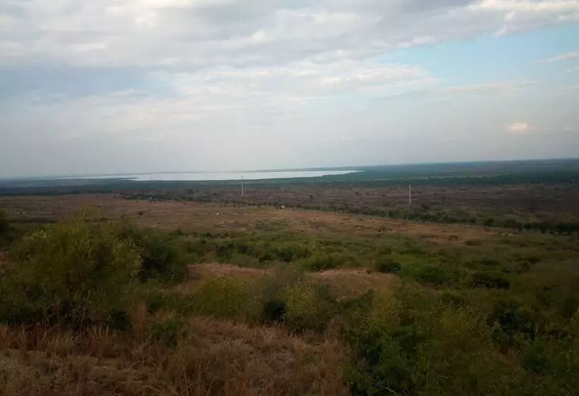 هتل The Elephant Home
