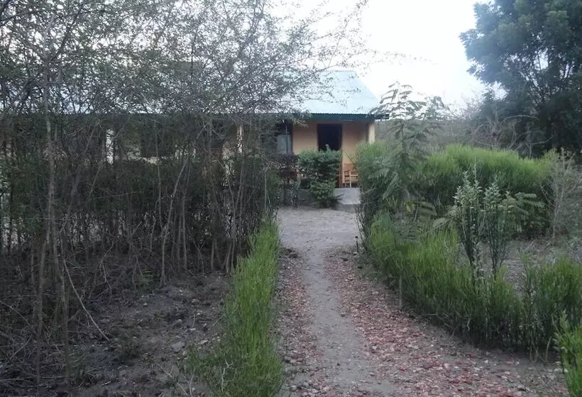 هتل The Elephant Home