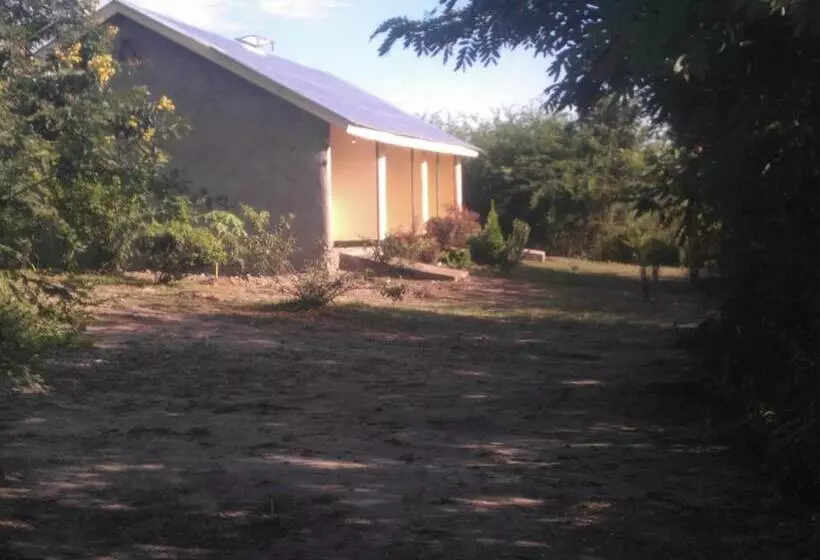 هتل The Elephant Home