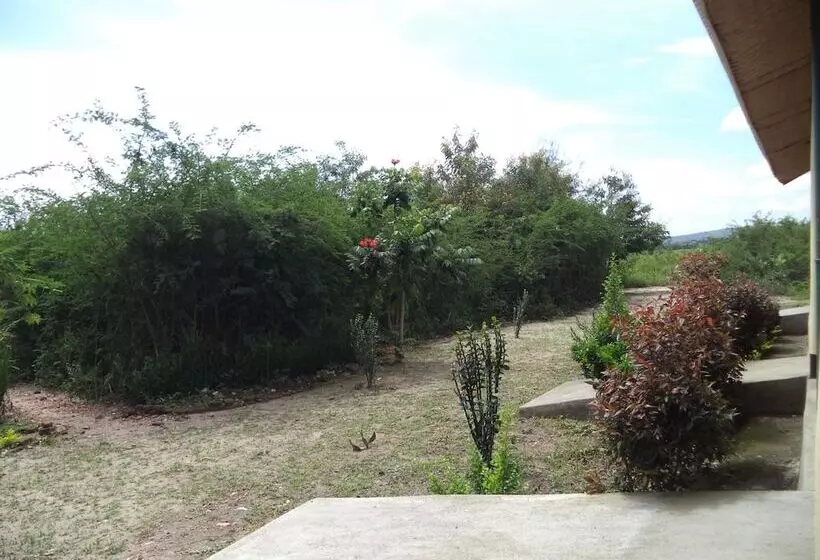 هتل The Elephant Home