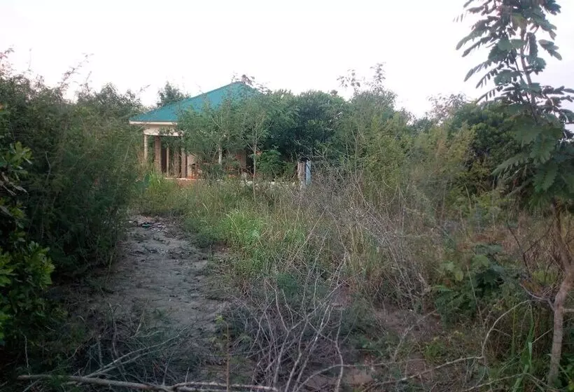 هتل The Elephant Home