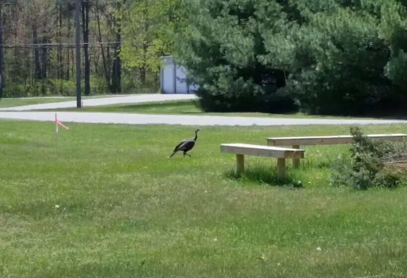 Motelli North Winds Lodge