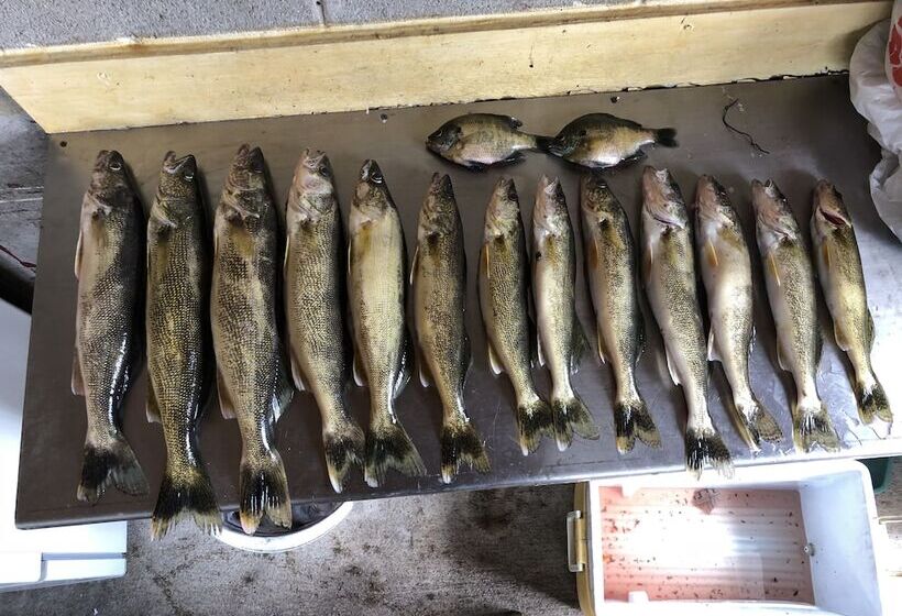 فندق على الطريق The Landing On The Wolf