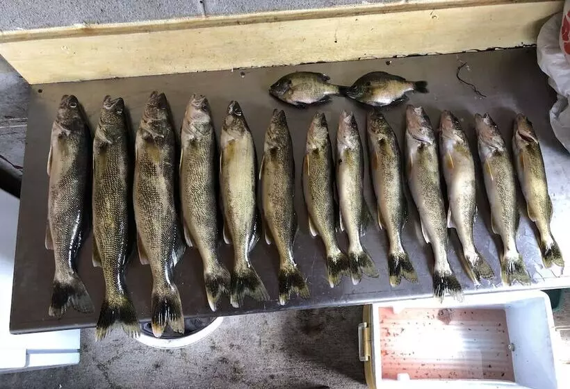 モーテル The Landing On The Wolf