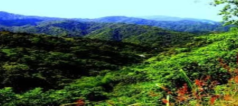 پانسیون Villa Rasta