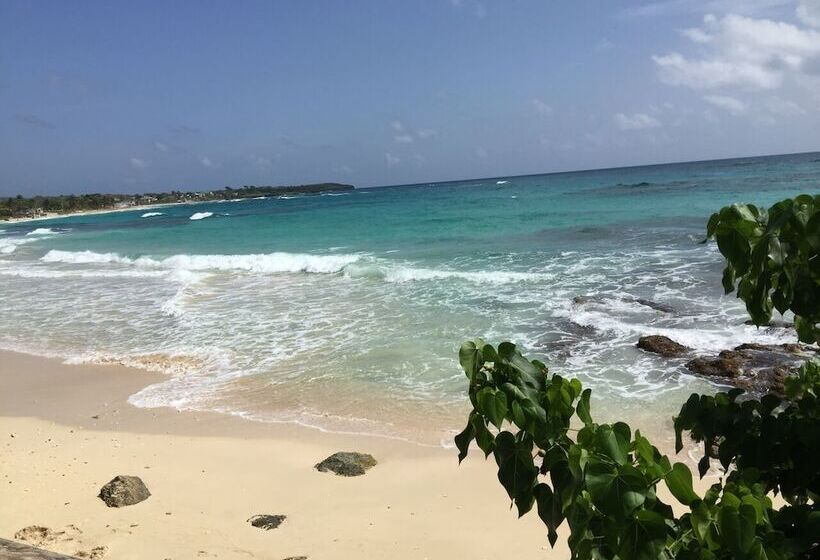 پانسیون Villa Rasta