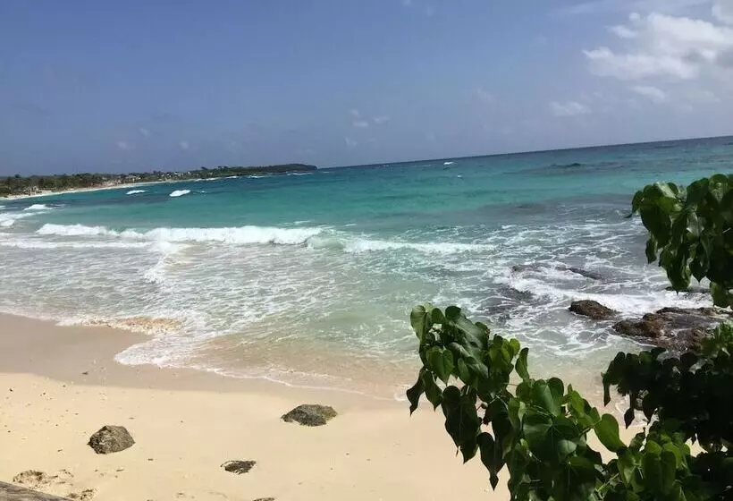 پانسیون Villa Rasta