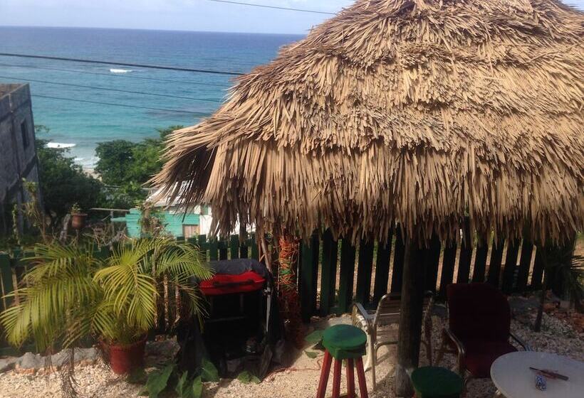 پانسیون Villa Rasta