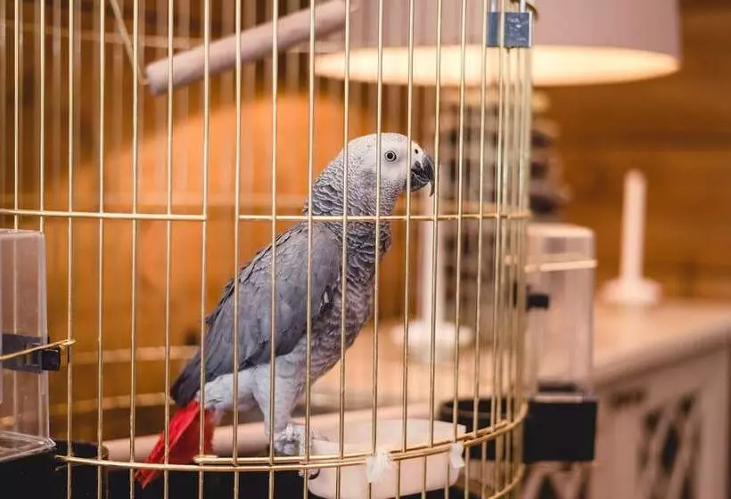 リゾートホテル Eco Hotel Izumrudniy Les