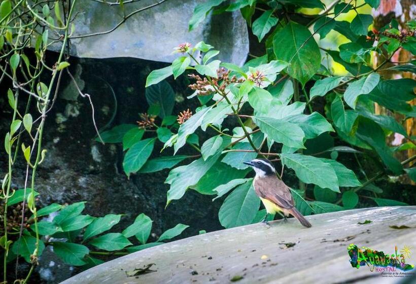 Hostel Ayawaska Hostal