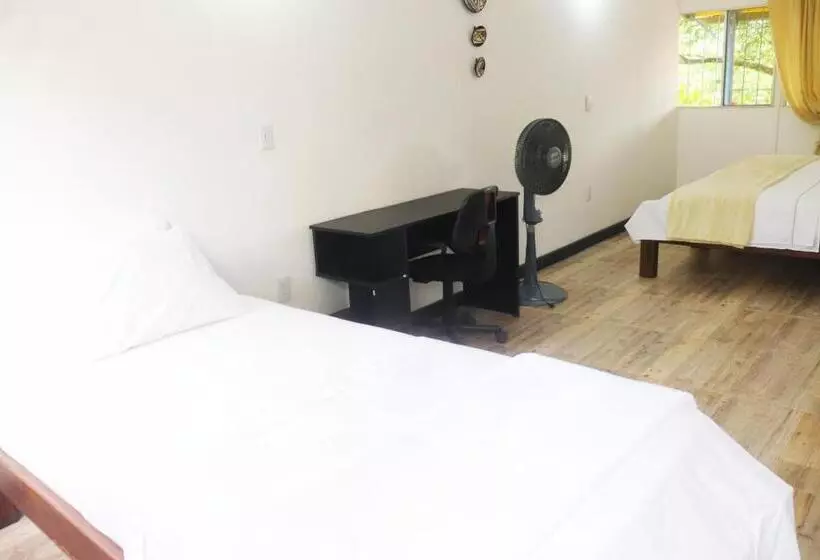 Retkeilymaja Ayawaska Hostal