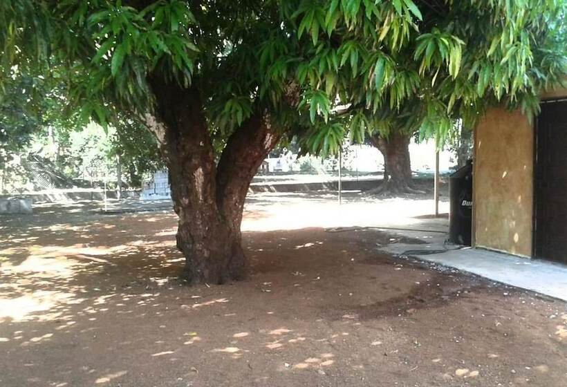 فندق صغير Dolega Sleep Inn