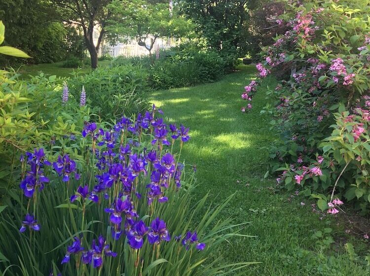 Back Inn Time Bed & Breakfast