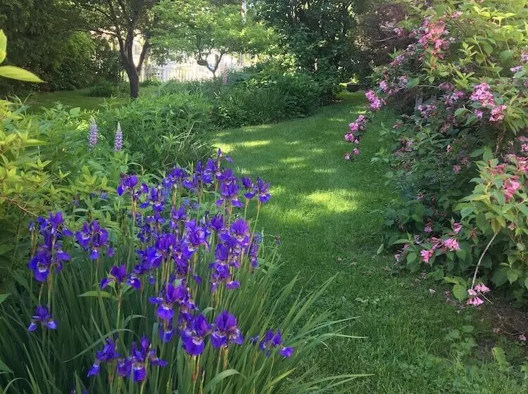 Back Inn Time Bed & Breakfast