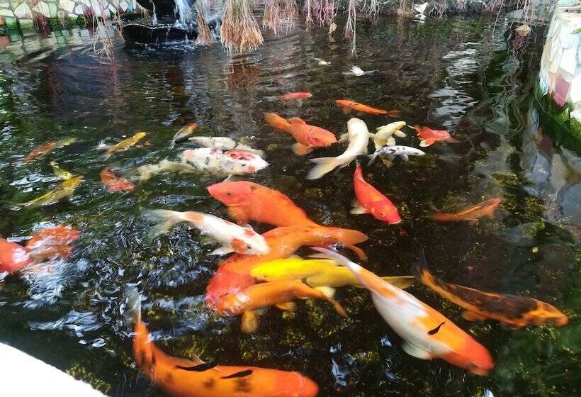 住宿加早餐 The Wilsons Shangrila