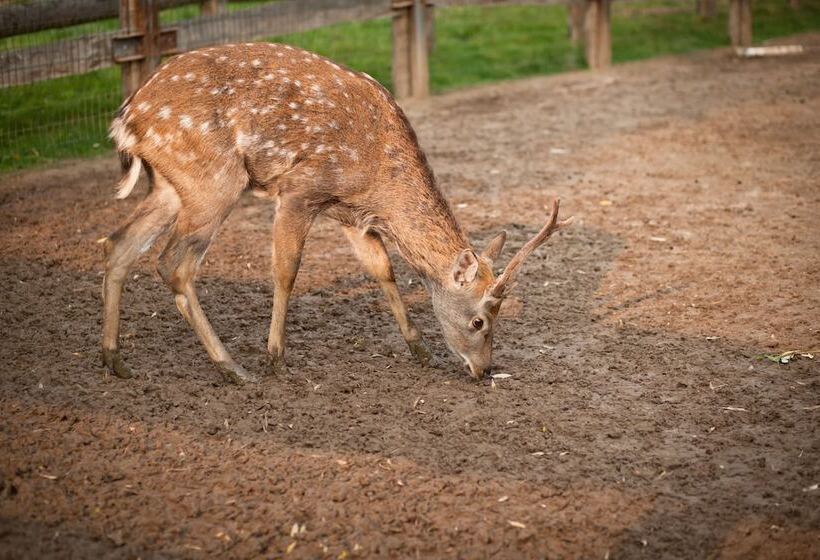 Country Resort Hotel All Inclusive