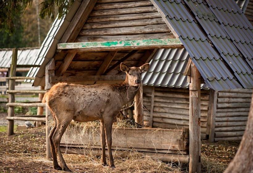 Country Resort Hotel All Inclusive