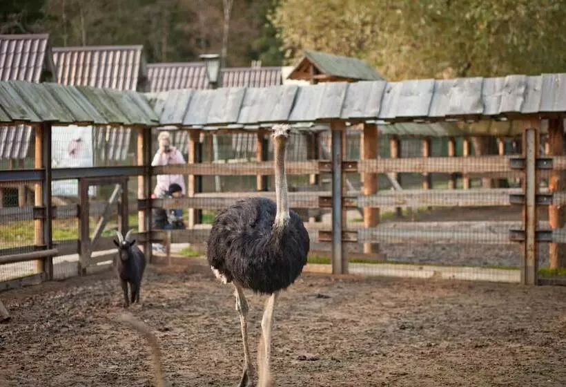 Country Resort Hotel All Inclusive