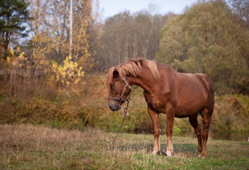 Country Resort Hotel All Inclusive