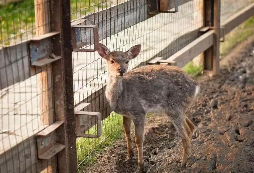 Country Resort Hotel All Inclusive