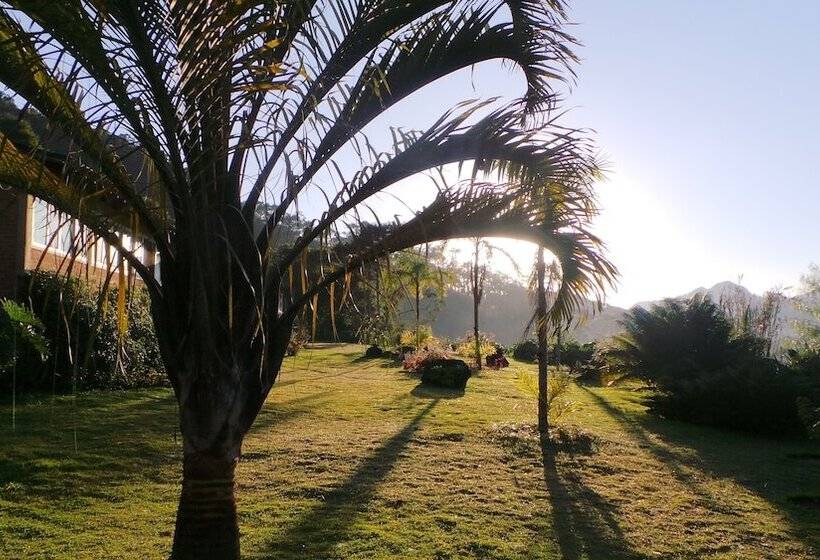 فندق فئة نجمة واحدة Pousada Verbicaro