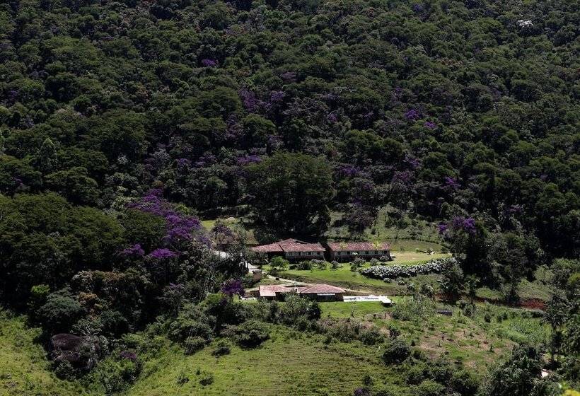 فندق فئة نجمة واحدة Pousada Verbicaro