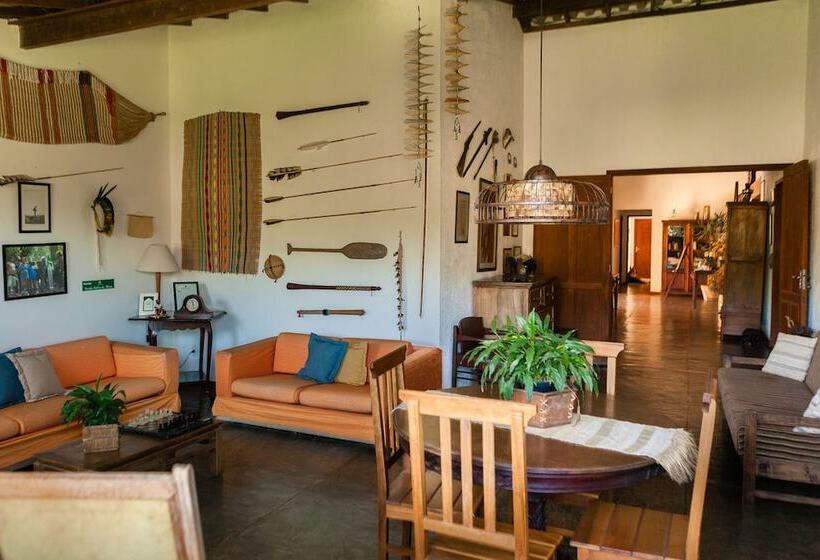 فندق فئة نجمة واحدة Pousada Verbicaro