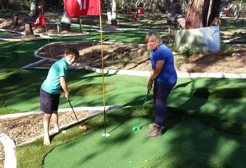 ホテル Bimbi Park   Camping Under Koalas