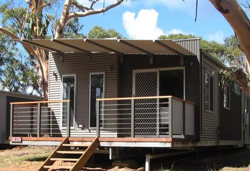 ホテル Bimbi Park   Camping Under Koalas