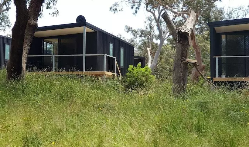 ホテル Bimbi Park   Camping Under Koalas