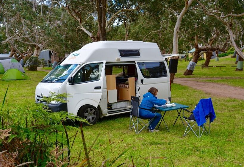 酒店 Bimbi Park   Camping Under Koalas