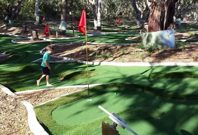 ホテル Bimbi Park   Camping Under Koalas