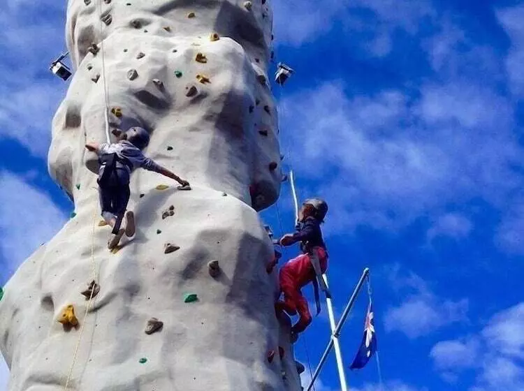 ホテル Bimbi Park   Camping Under Koalas