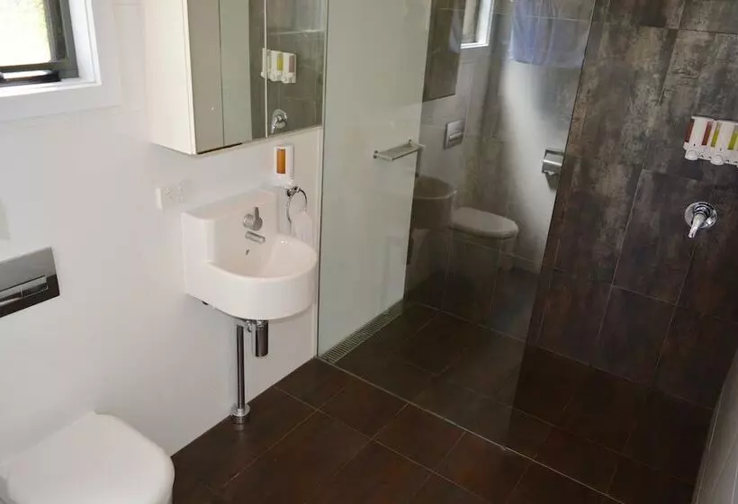 ホテル Bimbi Park   Camping Under Koalas