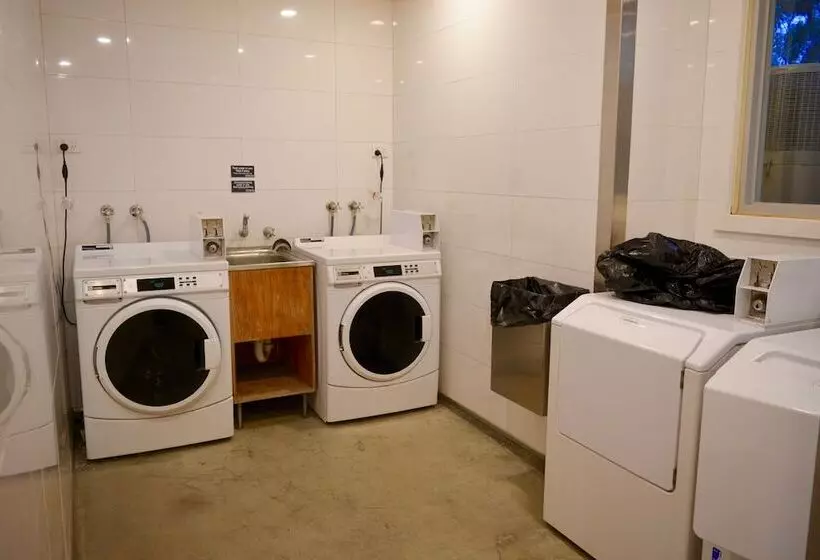 ホテル Bimbi Park   Camping Under Koalas