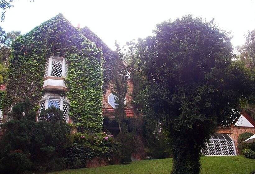 ホテル Casa Yvitú Blue Bird