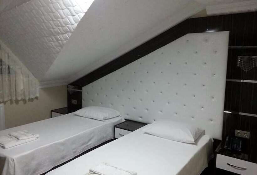 בית מלון כפרי Sener