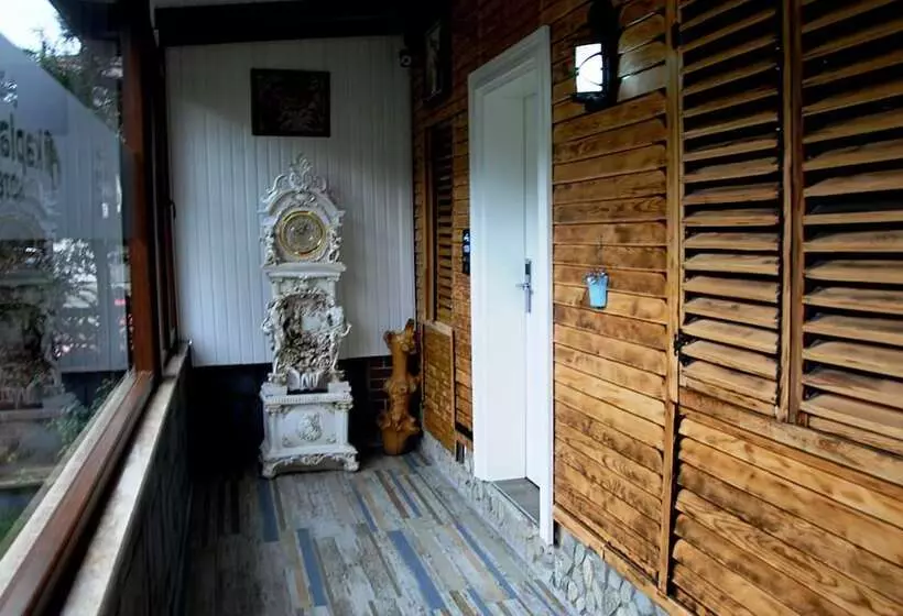 ホテル Trilye Kaplan