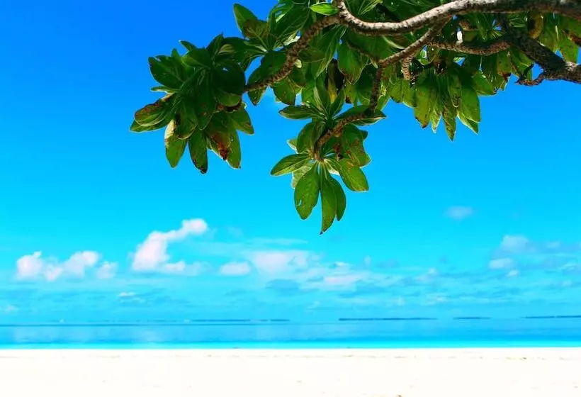 Hotelli Village Life Maldives