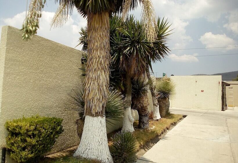 Lov Boutique Hotel Amaque