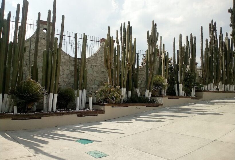 Lov Boutique Hotel Amaque