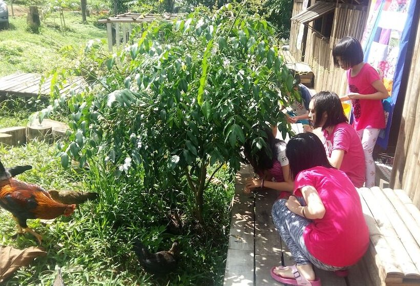 Pensjonat Drmind Farm