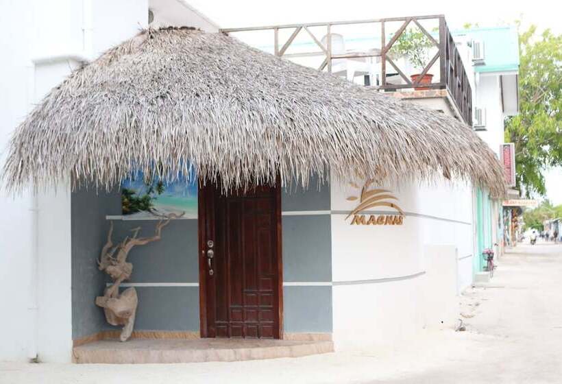 پانسیون Macnas