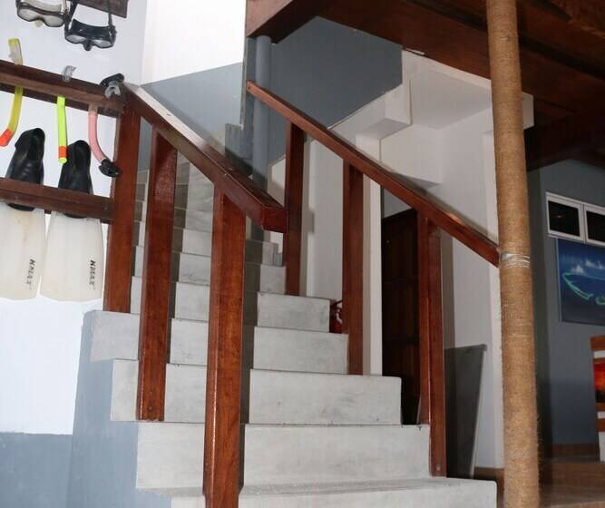 پانسیون Macnas