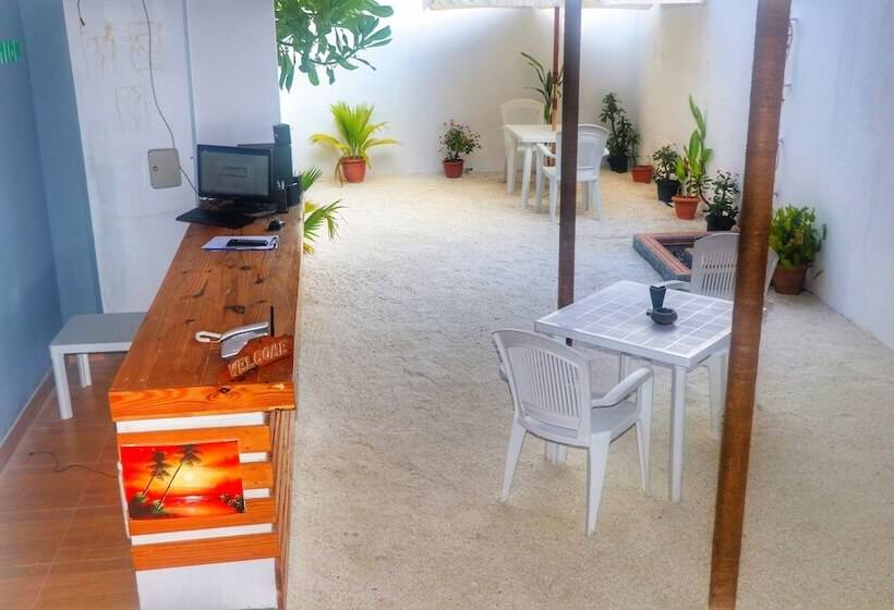 پانسیون Macnas