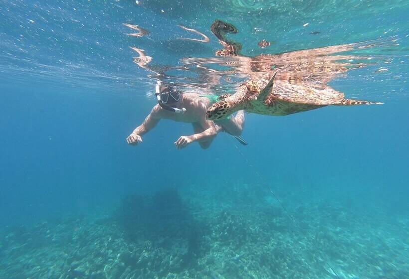 پانسیون Macnas