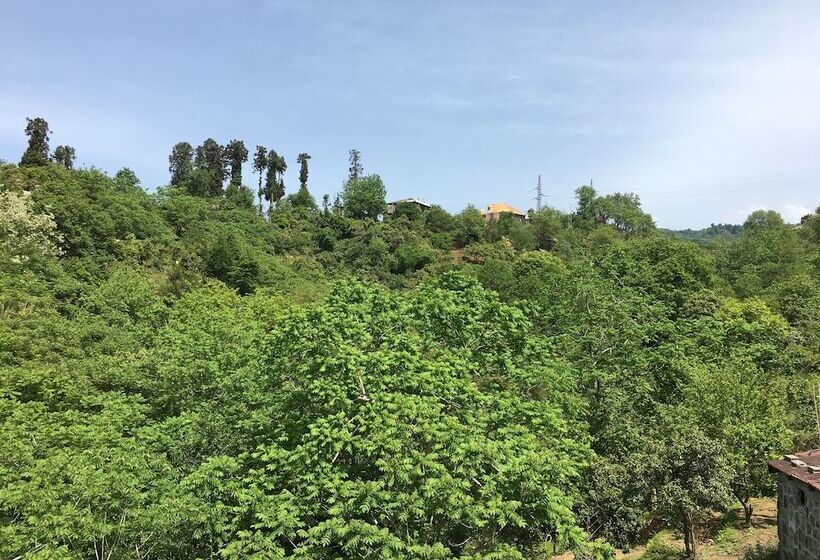 پانسیون White Guest House