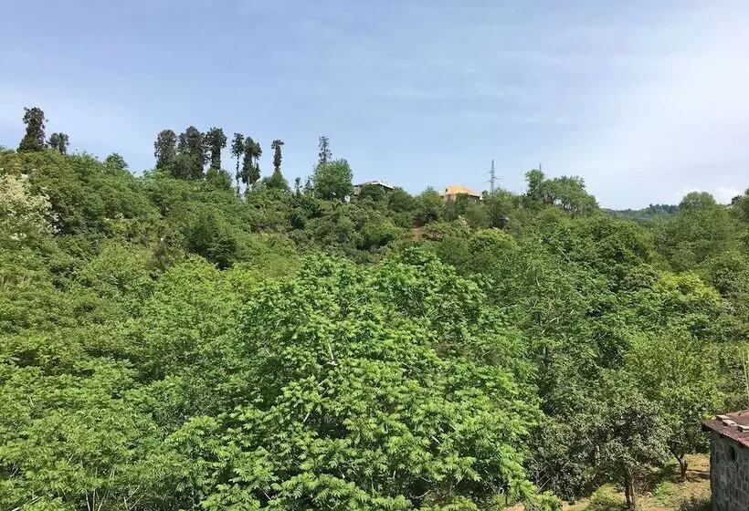 پانسیون White Guest House