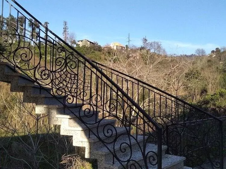 پانسیون White Guest House