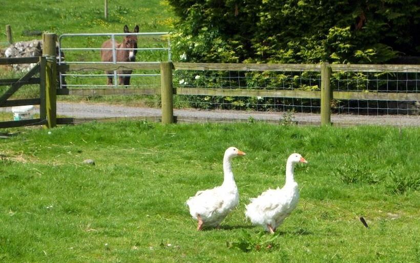 Valleylodge Farm Hostel